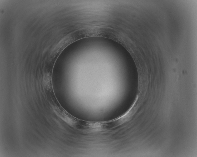 X0000074340144200608251400