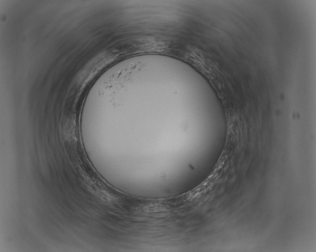 X0000074340146200608251359