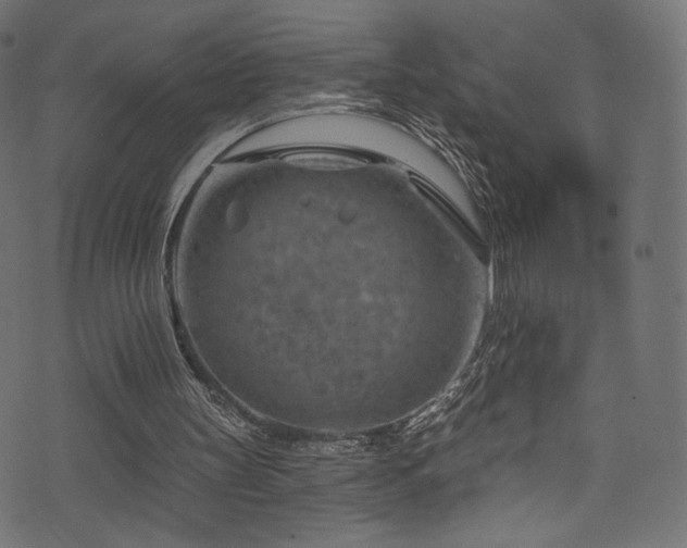 X0000074340147200608251359