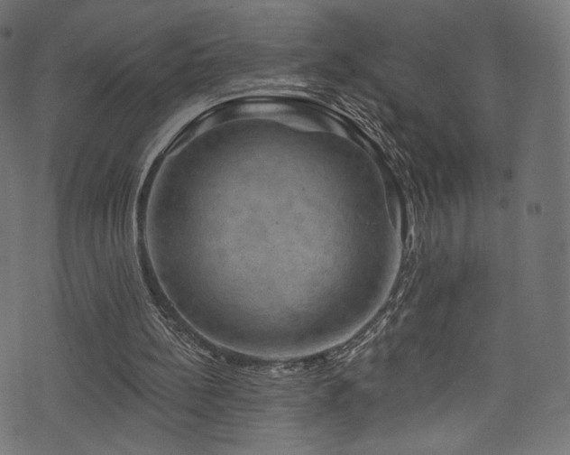 X0000074340148200608251359