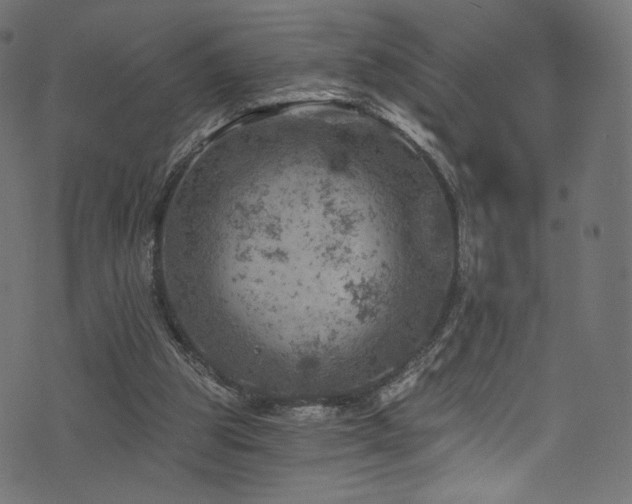 X0000074340153200608251359