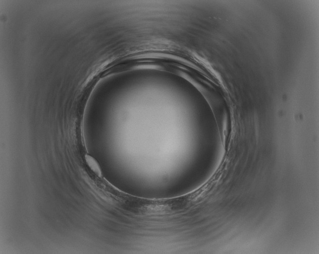 X0000074340154200608251359