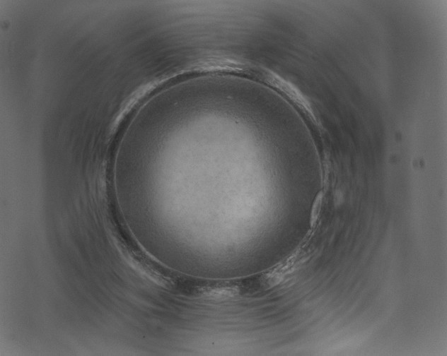 X0000074340155200608251359