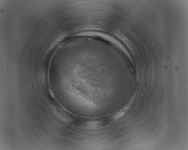 X0000074340158200608251359