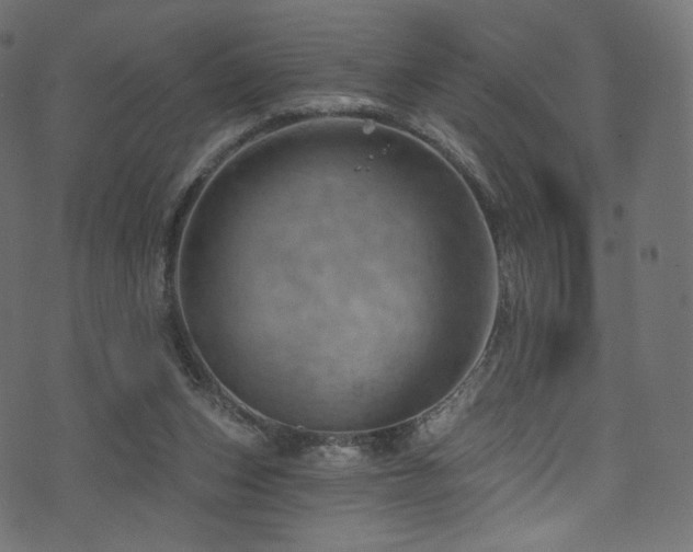 X0000074340159200608251359