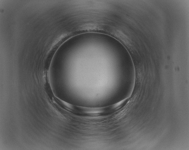 X0000074340160200608251359