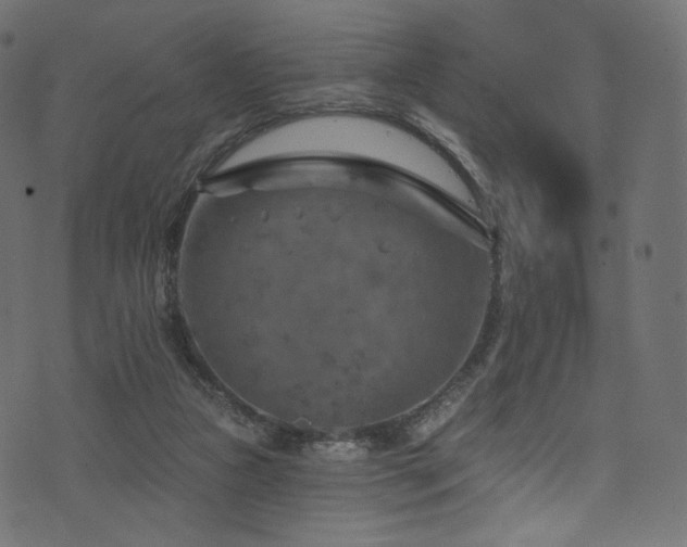 X0000074340161200608251359