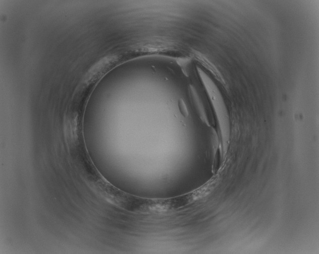 X0000074340163200608251359