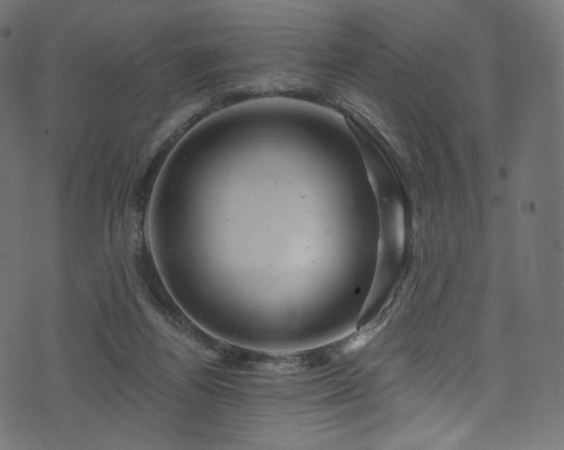 X0000074340164200608251400