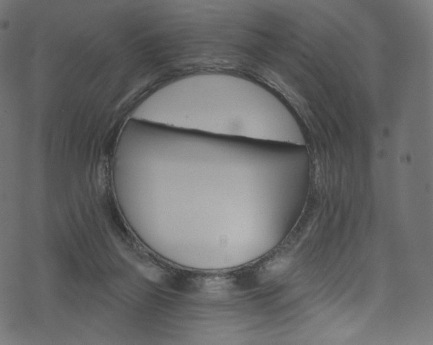 X0000074340165200608251400