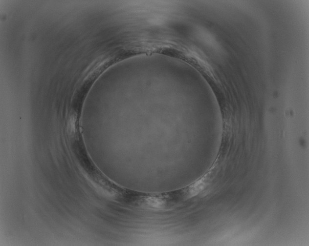 X0000074340166200608251400