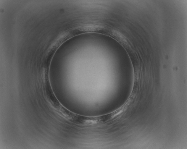 X0000074340167200608251400