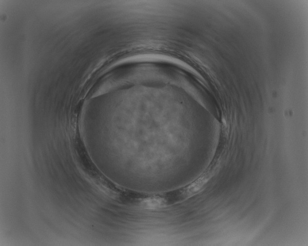 X0000074340168200608251400