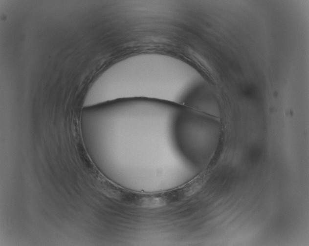 X0000074340169200608251400