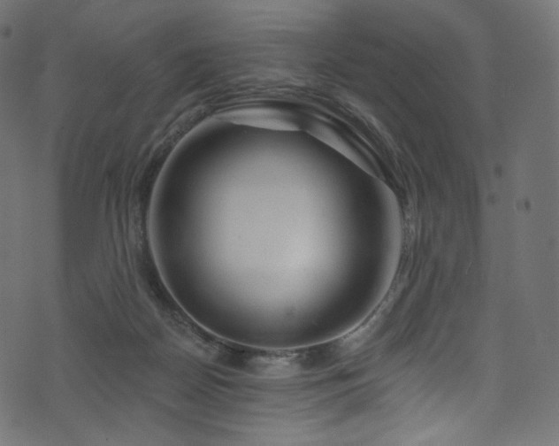 X0000074340170200608251400