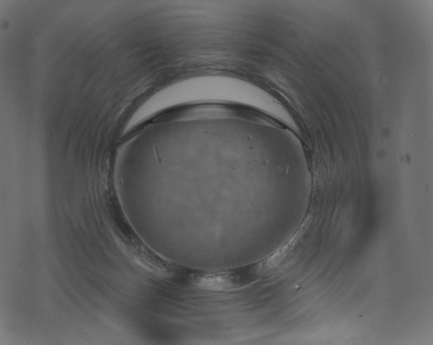 X0000074340171200608251400