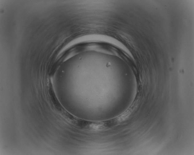 X0000074340172200608251400