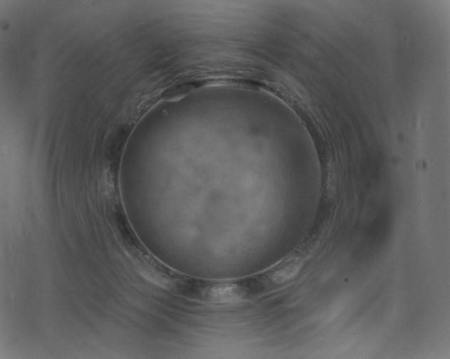 X0000074340173200608251400