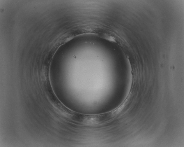 X0000074340174200608251400