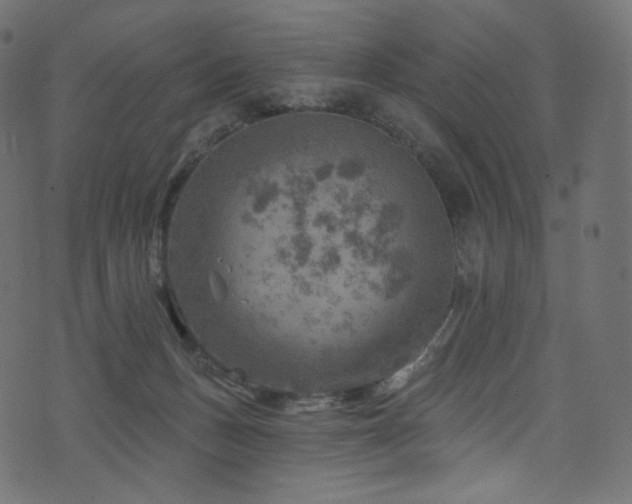 X0000074340175200608251400