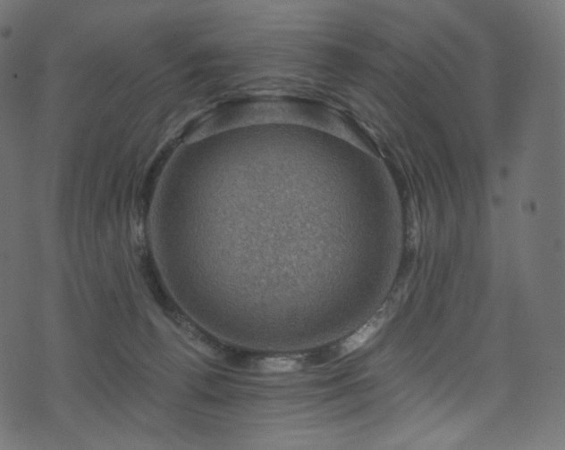 X0000074340176200608251400