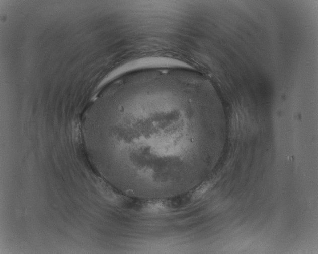 X0000074340177200608251400