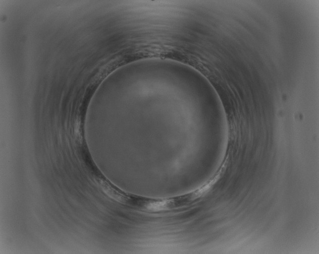 X0000074340178200608251400