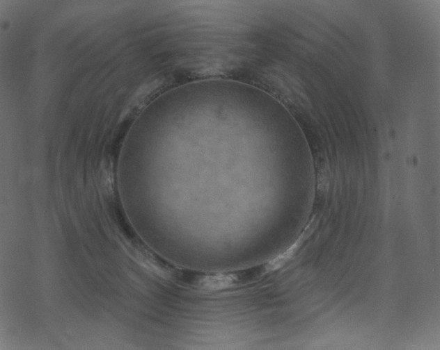 X0000074340179200608251400