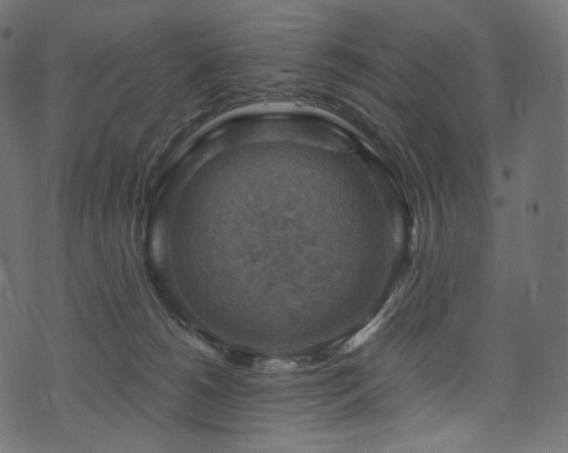 X0000074340180200608251400