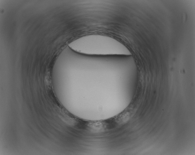 X0000074340181200608251400