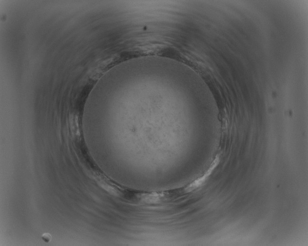 X0000074340182200608251400