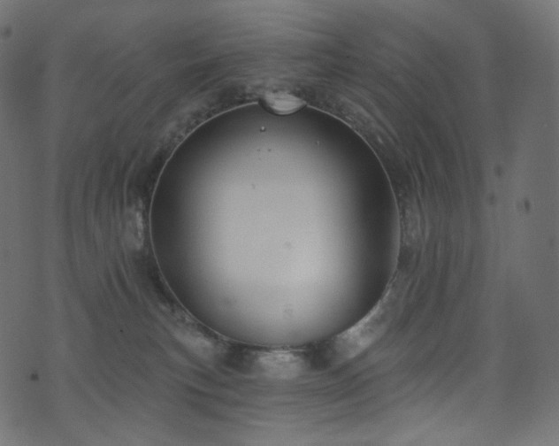 X0000074340183200608251400