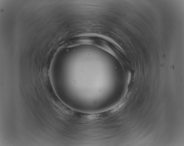 X0000074340184200608251400