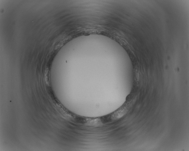 X0000074340185200608251400