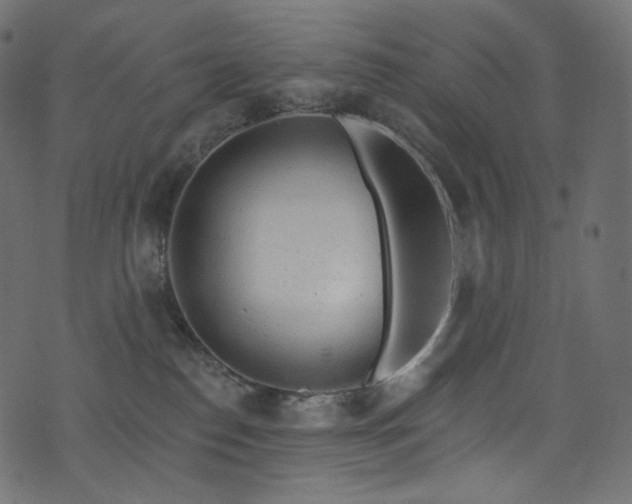 X0000074340186200608251400