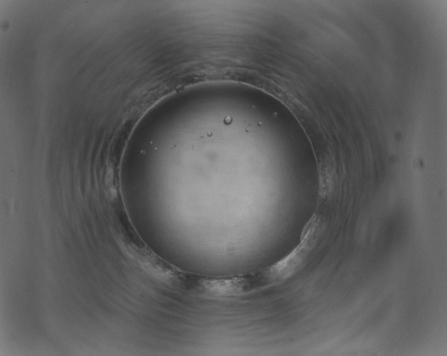 X0000074340187200608251400