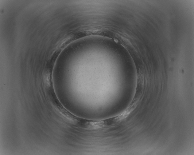 X0000074340188200608251400