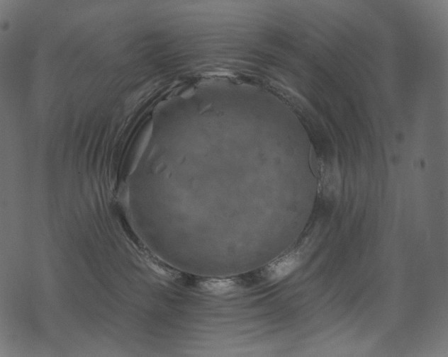 X0000074340189200608251400