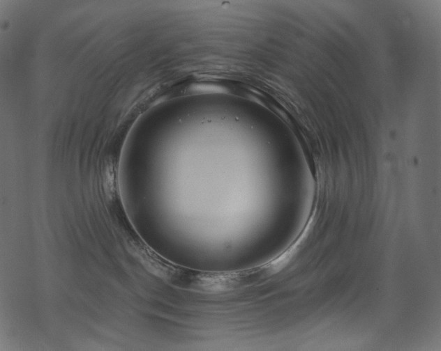 X0000074340190200608251400