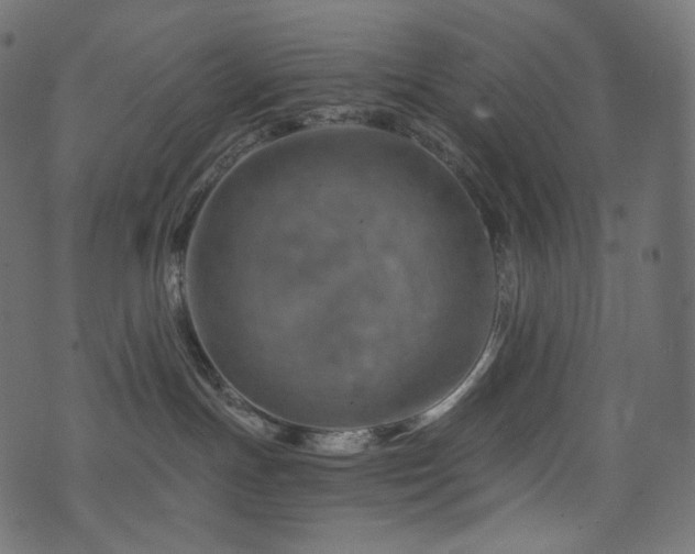 X0000074340191200608251400