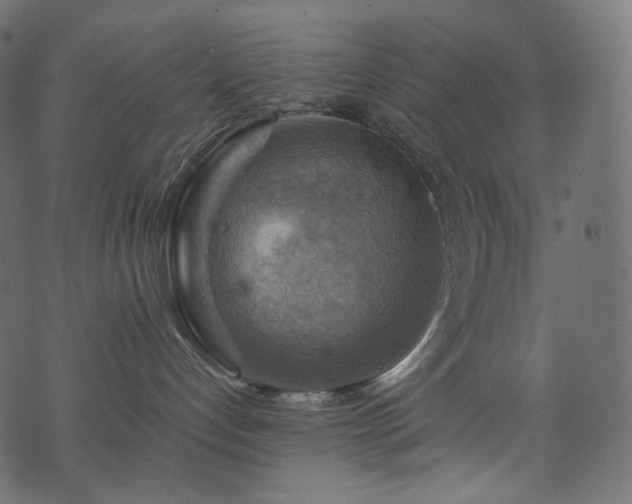 X0000074340192200608251400