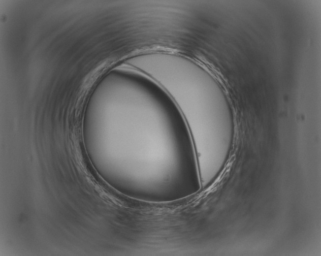 X0000074340193200608251359