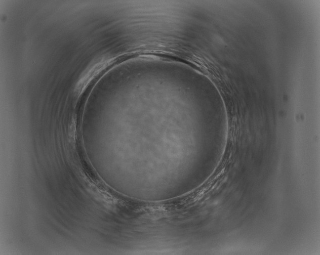 X0000074340194200608251359