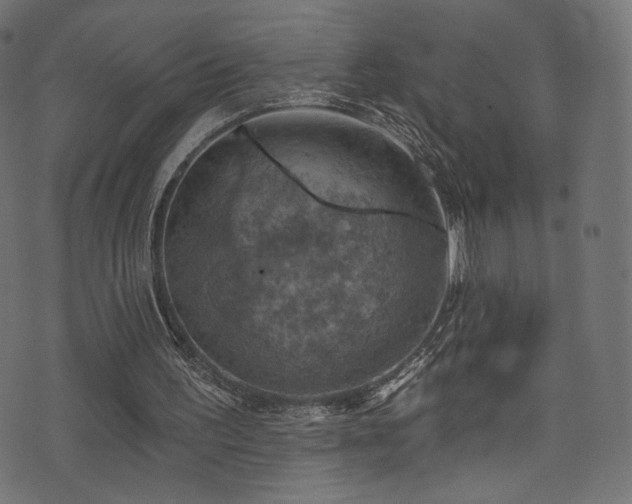 X0000074340195200608251359