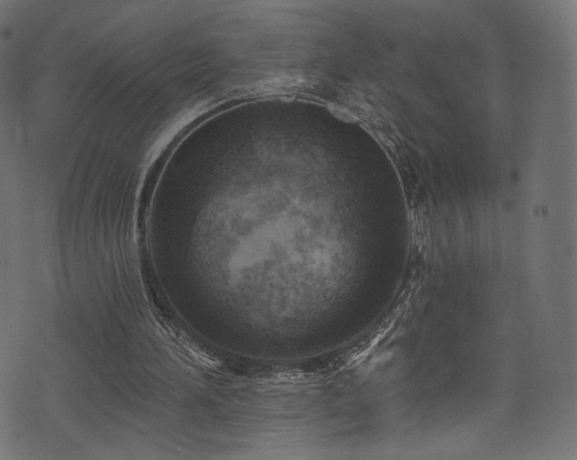 X0000074340196200608251359