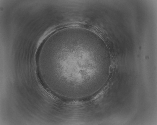 X0000074340198200608251359