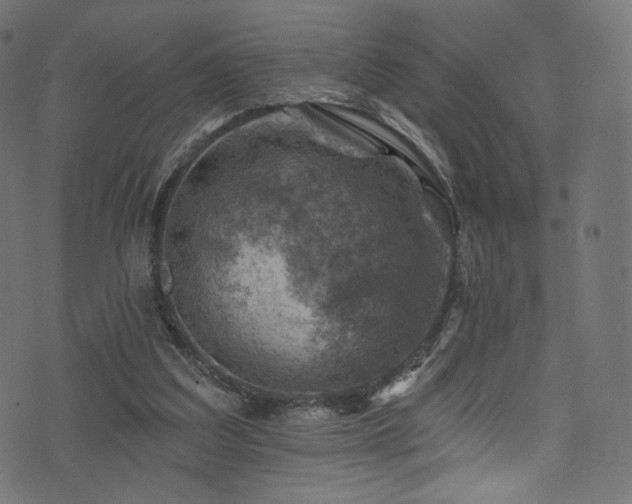 X0000074340203200608251359