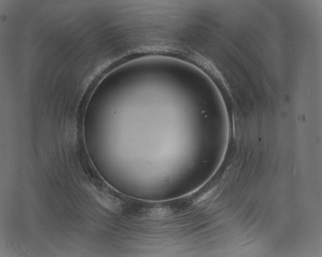 X0000074340204200608251359