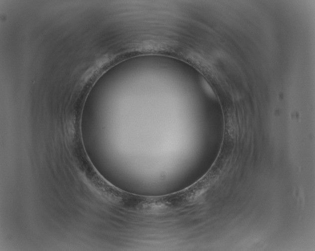 X0000074340208200608251359