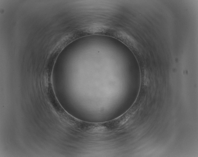 X0000074340210200608251359